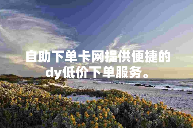 自助下单卡网提供便捷的dy低价下单服务。