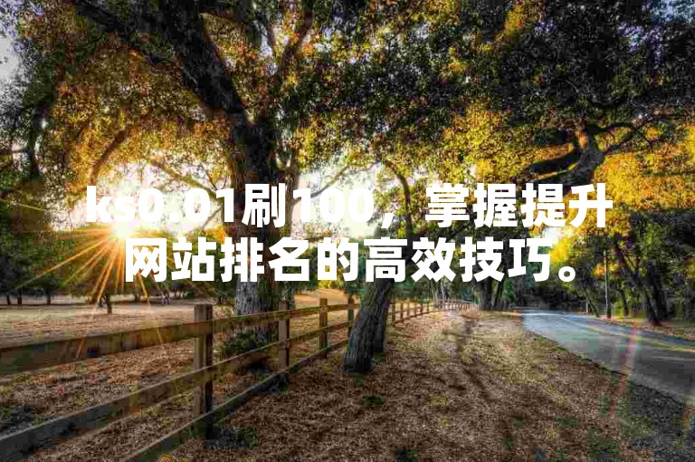 ks0.01刷100，掌握提升网站排名的高效技巧。