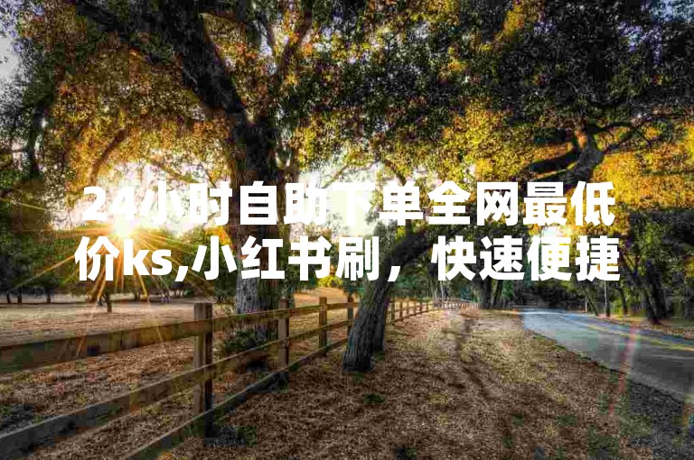 24小时自助下单全网最低价ks,小红书刷，快速便捷。