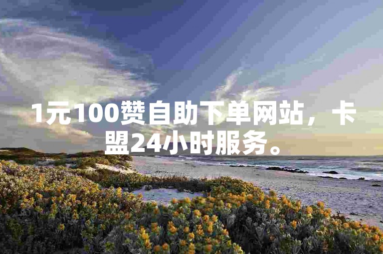 1元100赞自助下单网站，卡盟24小时服务。