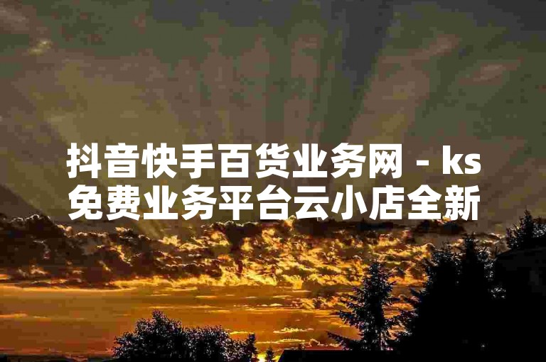 抖音快手百货业务网 - ks免费业务平台云小店全新上线！