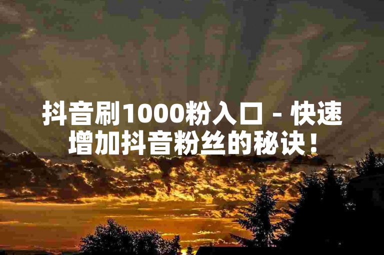 抖音刷1000粉入口 - 快速增加抖音粉丝的秘诀！