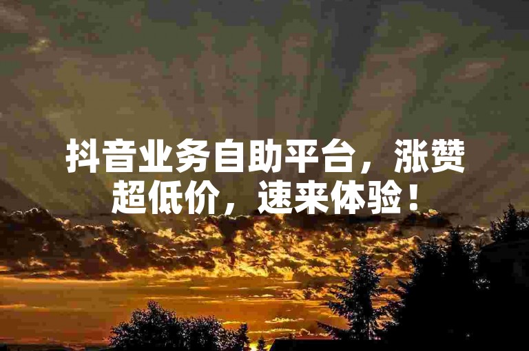 抖音业务自助平台，涨赞超低价，速来体验！