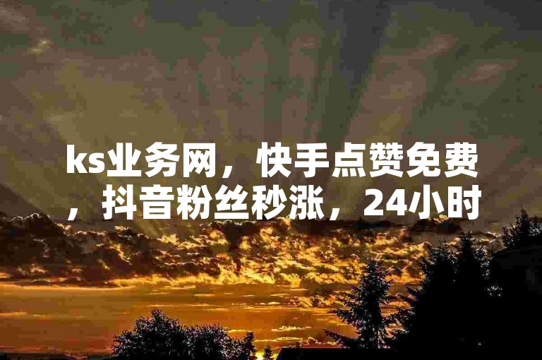 ks业务网，快手点赞免费，抖音粉丝秒涨，24小时在线服务。