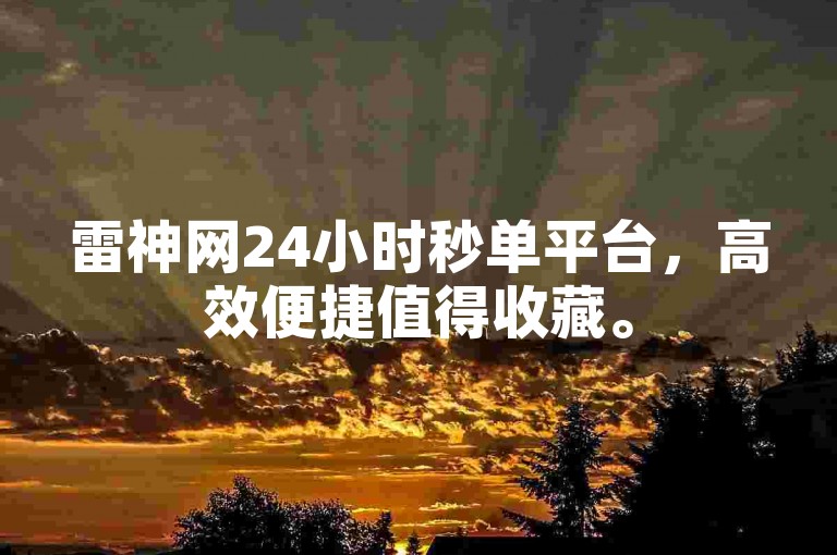 雷神网24小时秒单平台，高效便捷值得收藏。