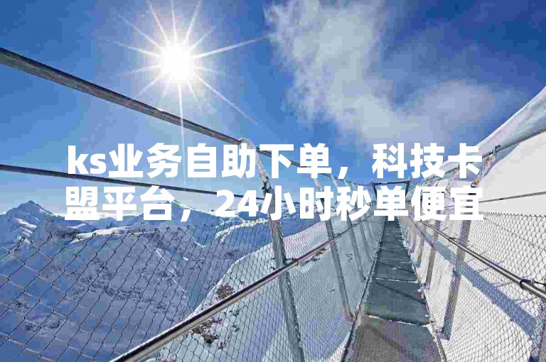 ks业务自助下单，科技卡盟平台，24小时秒单便宜。