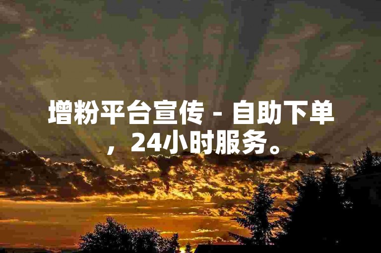 增粉平台宣传 - 自助下单，24小时服务。