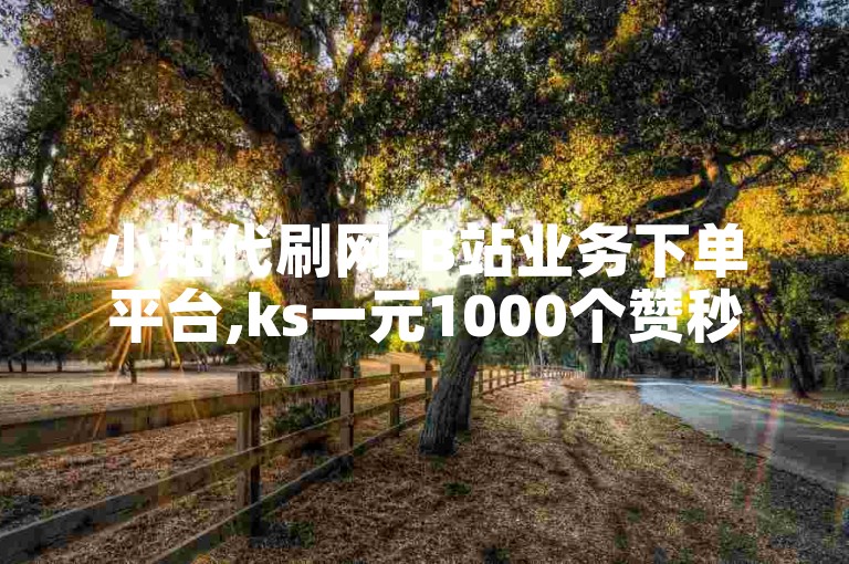 小粘代刷网-B站业务下单平台,ks一元1000个赞秒到软件。