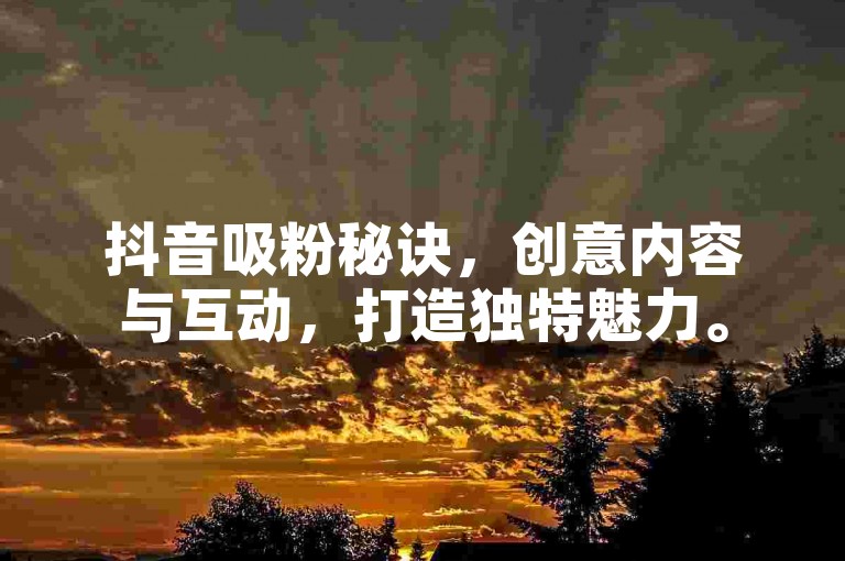 抖音吸粉秘诀，创意内容与互动，打造独特魅力。