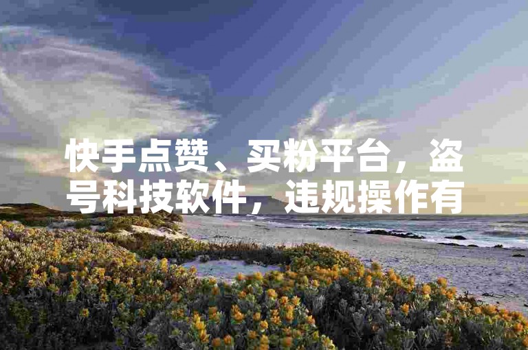 快手点赞、买粉平台，盗号科技软件，违规操作有风险。