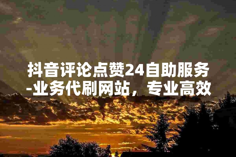 抖音评论点赞24自助服务-业务代刷网站，专业高效。