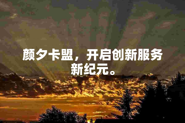颜夕卡盟，开启创新服务新纪元。