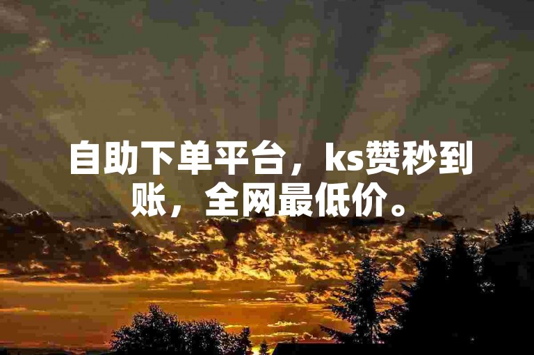 自助下单平台，ks赞秒到账，全网最低价。