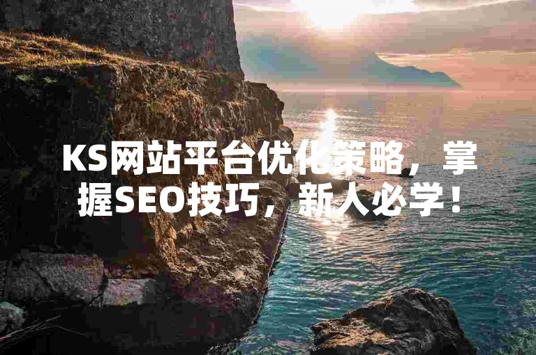 KS网站平台优化策略，掌握SEO技巧，新人必学！