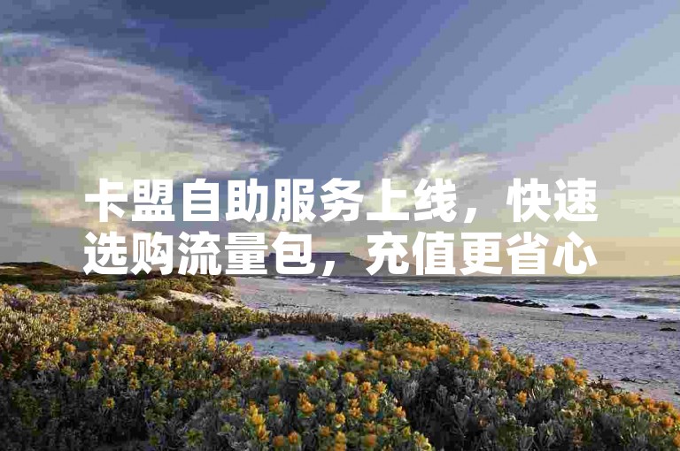 卡盟自助服务上线，快速选购流量包，充值更省心。