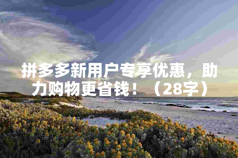 拼多多新用户专享优惠，助力购物更省钱！（28字）