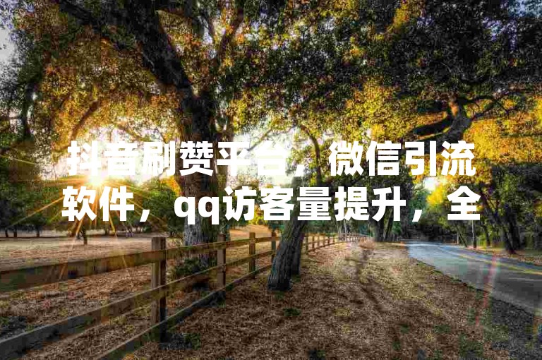 抖音刷赞平台，微信引流软件，qq访客量提升，全网最低价下单。