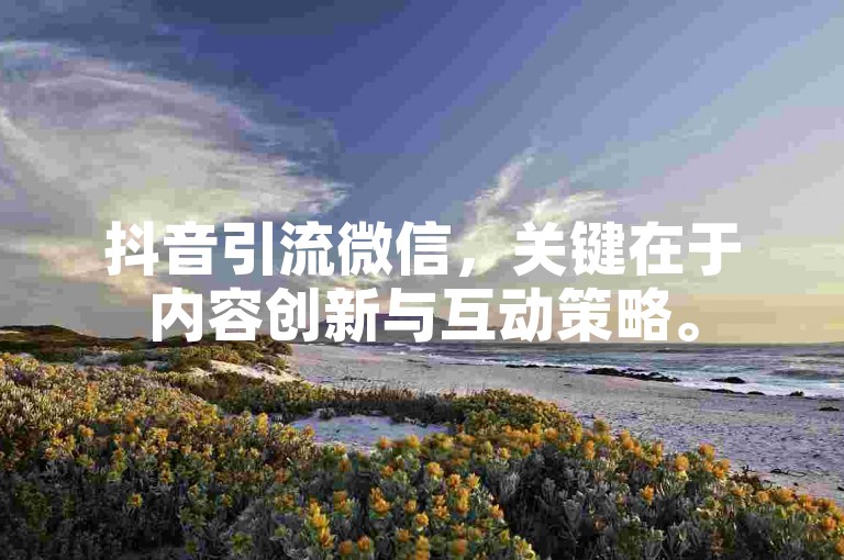 抖音引流微信，关键在于内容创新与互动策略。