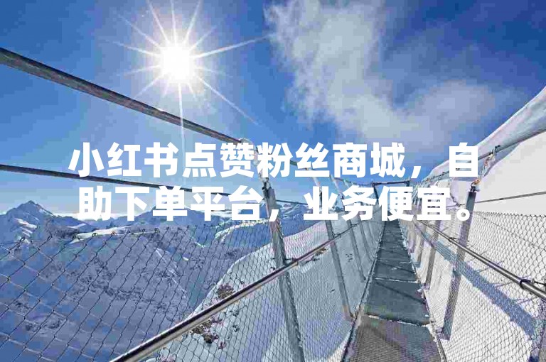 小红书点赞粉丝商城，自助下单平台，业务便宜。