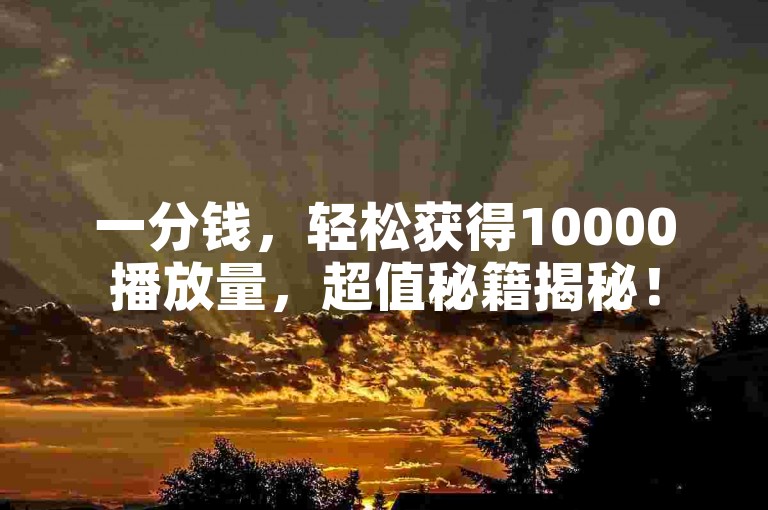 一分钱，轻松获得10000播放量，超值秘籍揭秘！