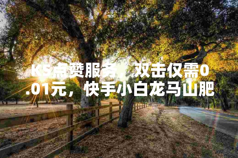 KS点赞服务，双击仅需0.01元，快手小白龙马山肥助力大地房产装修。
