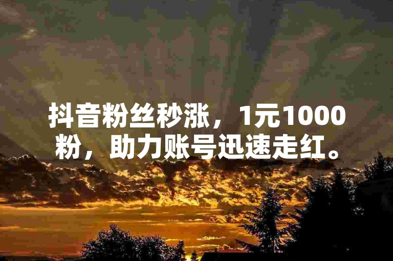 抖音粉丝秒涨，1元1000粉，助力账号迅速走红。