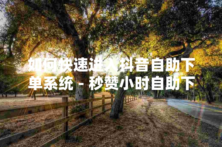 如何快速进入抖音自助下单系统 - 秒赞小时自助下单平台dy
