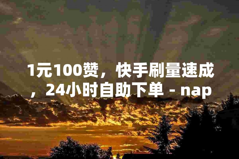 1元100赞，快手刷量速成，24小时自助下单 - nap6科技网特惠。