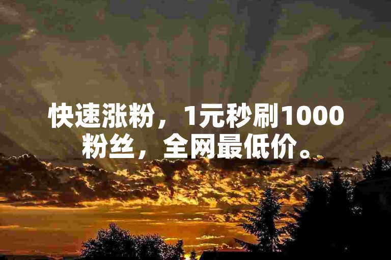 快速涨粉，1元秒刷1000粉丝，全网最低价。