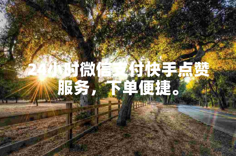 24小时微信支付快手点赞服务，下单便捷。