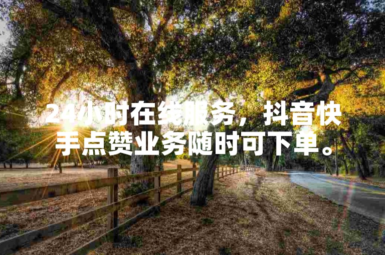 24小时在线服务，抖音快手点赞业务随时可下单。