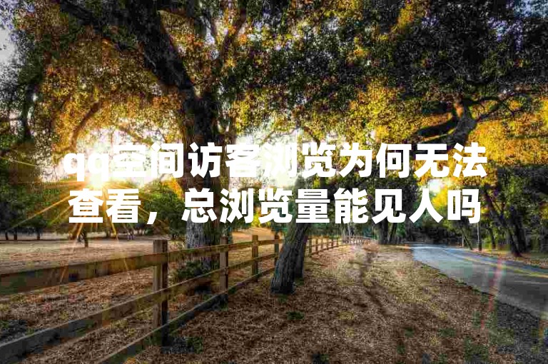 qq空间访客浏览为何无法查看，总浏览量能见人吗？