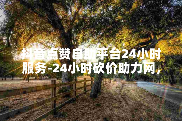 抖音点赞自助平台24小时服务-24小时砍价助力网，随时助力。