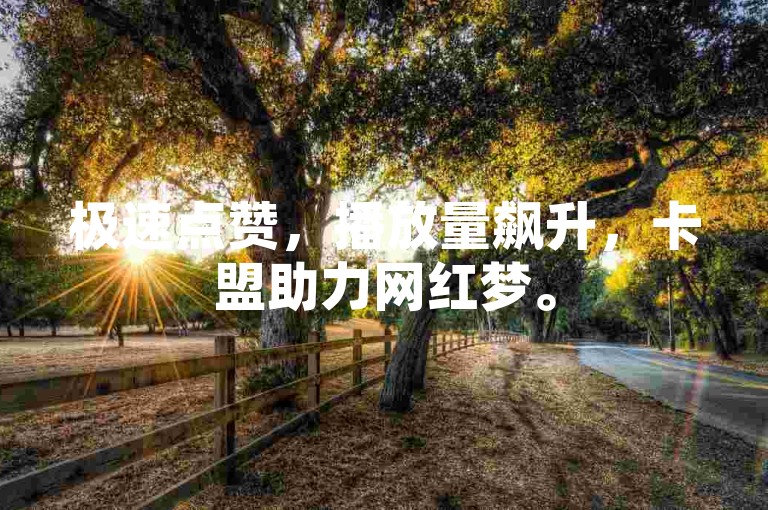 极速点赞，播放量飙升，卡盟助力网红梦。
