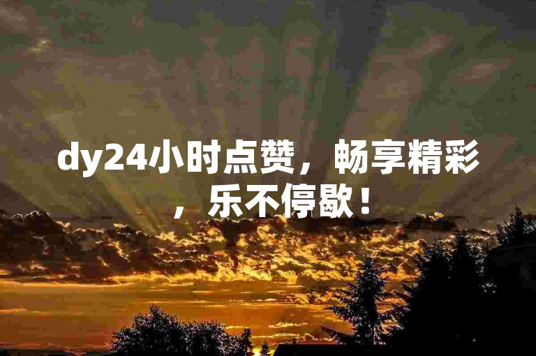dy24小时点赞，畅享精彩，乐不停歇！