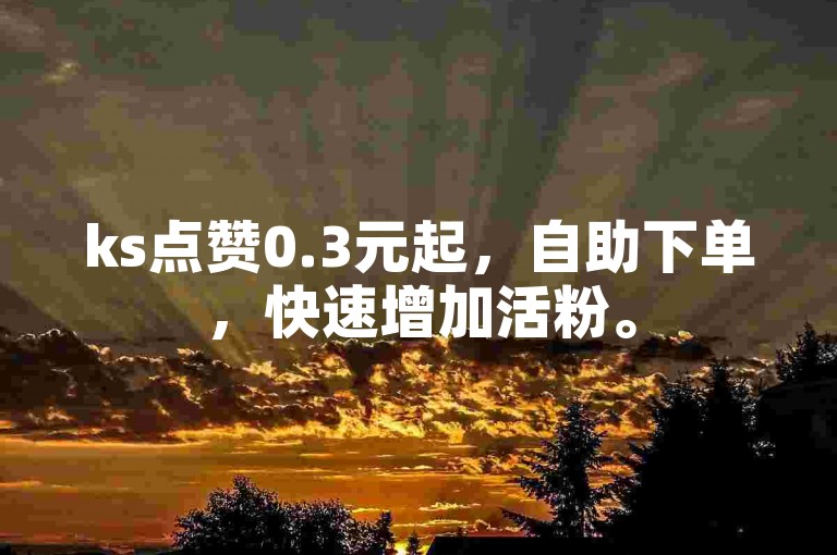 ks点赞0.3元起，自助下单，快速增加活粉。
