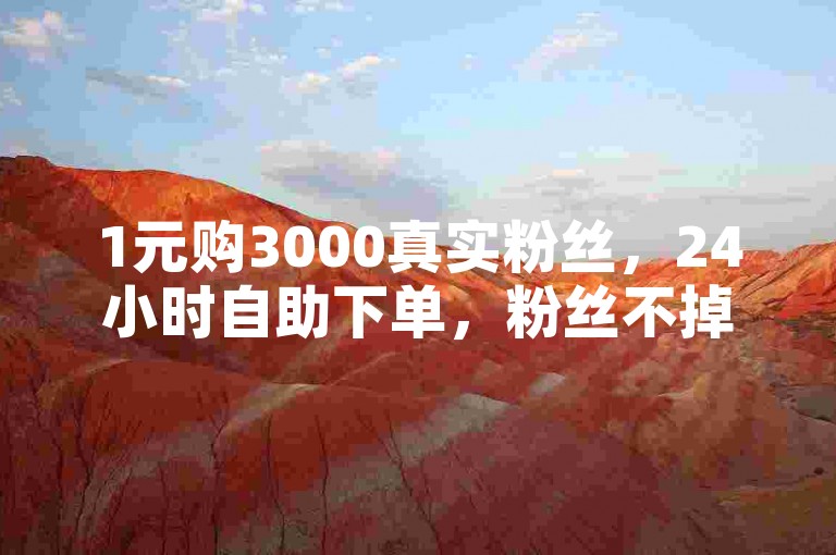 1元购3000真实粉丝，24小时自助下单，粉丝不掉。