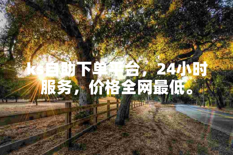 ks自助下单平台，24小时服务，价格全网最低。
