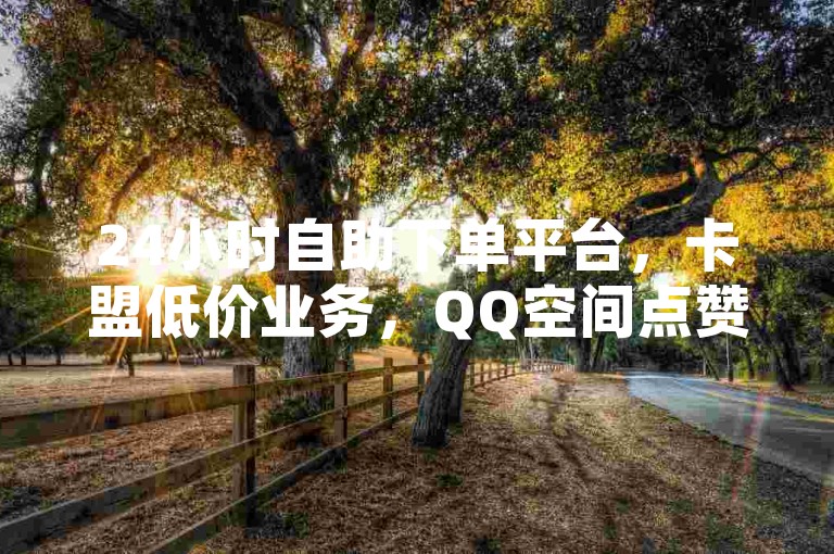 24小时自助下单平台，卡盟低价业务，QQ空间点赞一元起。