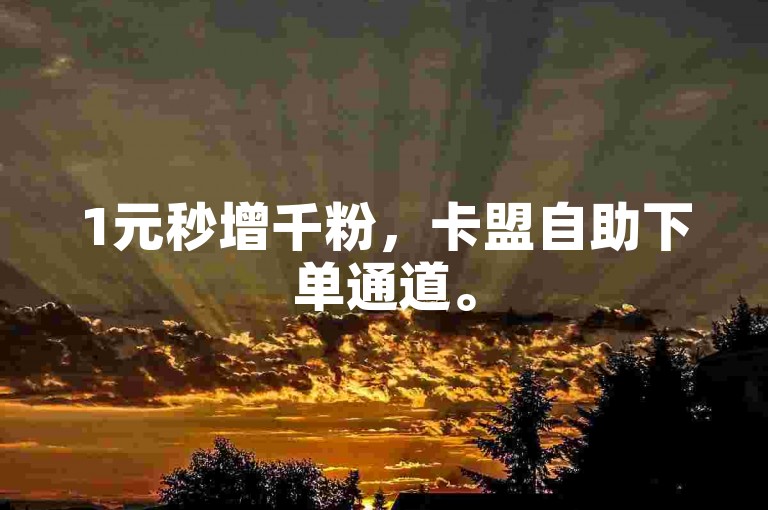 1元秒增千粉，卡盟自助下单通道。