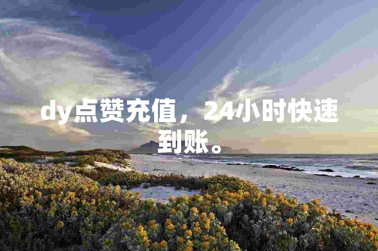 dy点赞充值，24小时快速到账。