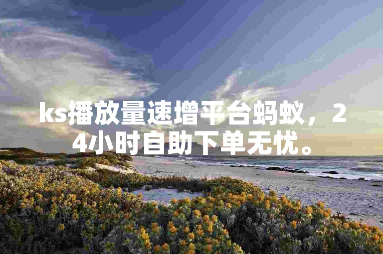 ks播放量速增平台蚂蚁，24小时自助下单无忧。