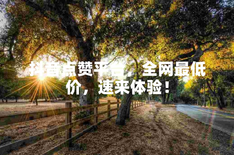 抖音点赞平台，全网最低价，速来体验！