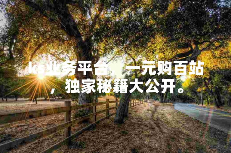 ks业务平台，一元购百站，独家秘籍大公开。