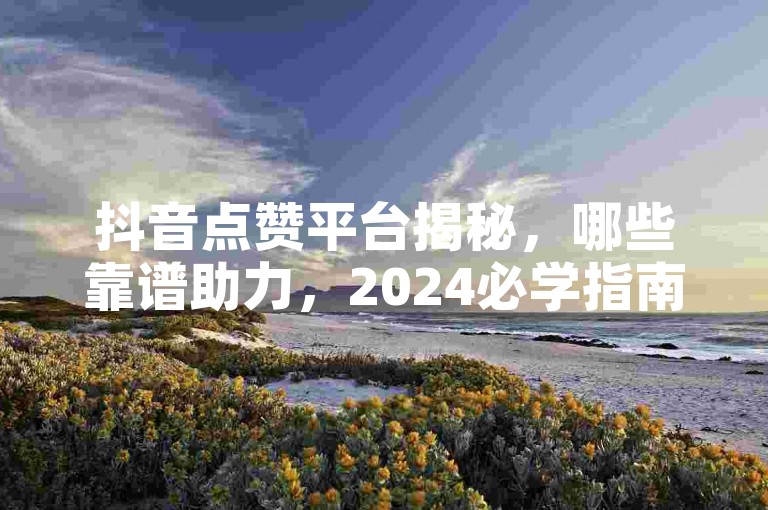 抖音点赞平台揭秘，哪些靠谱助力，2024必学指南！