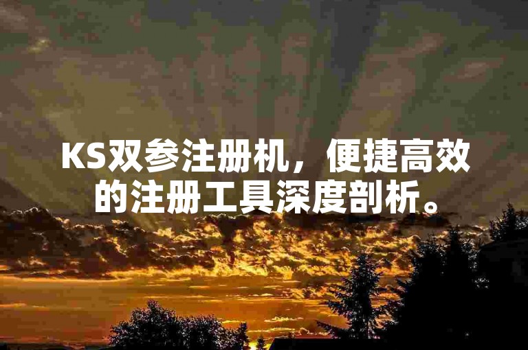KS双参注册机，便捷高效的注册工具深度剖析。