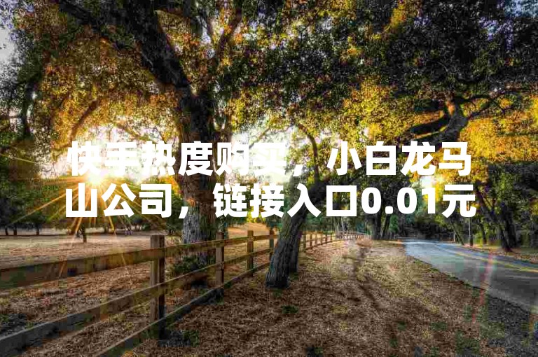 快手热度购买，小白龙马山公司，链接入口0.01元起。