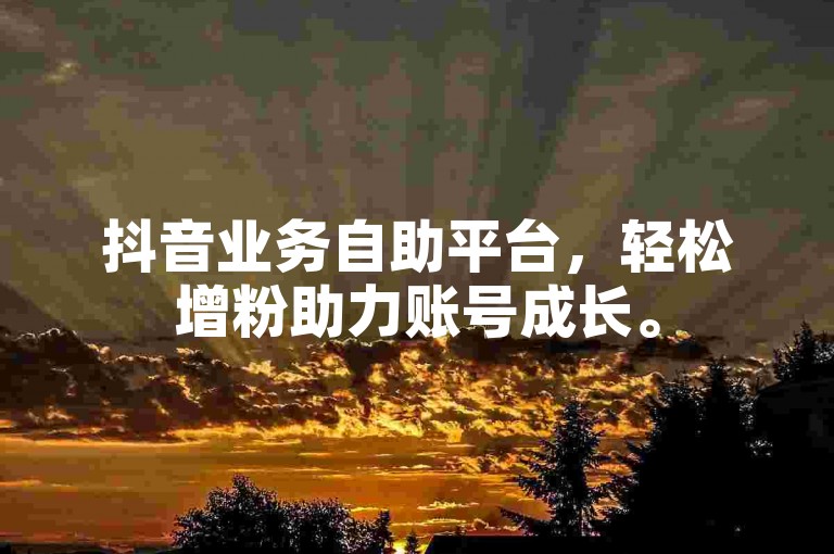 抖音业务自助平台，轻松增粉助力账号成长。