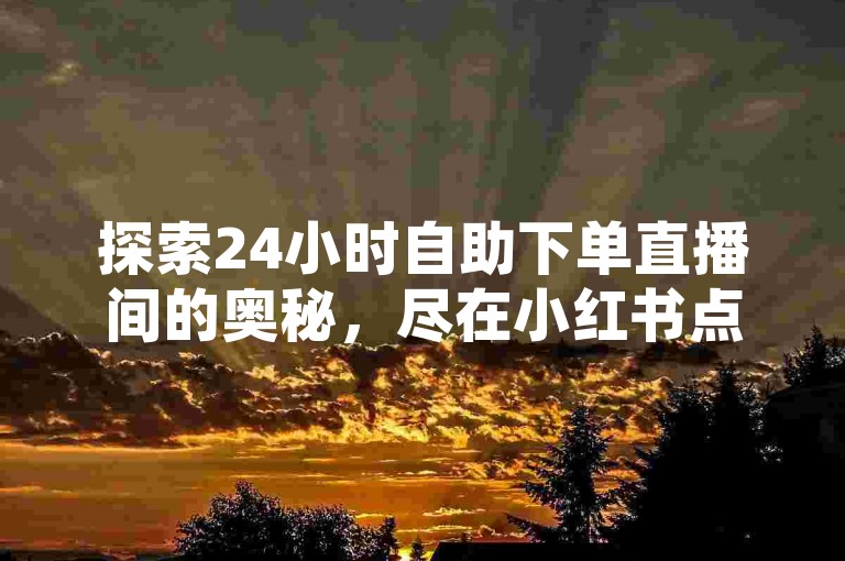 探索24小时自助下单直播间的奥秘，尽在小红书点赞业务。