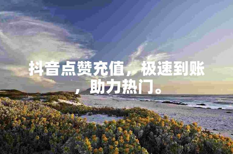 抖音点赞充值，极速到账，助力热门。
